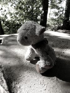 teddy-bear-433697_1920